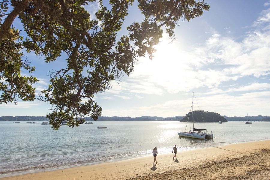 Bay of Islands sailing charter
